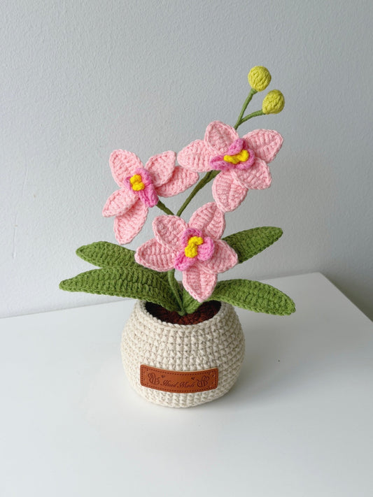 Crochet Phalaenopsis Orchid Potted Plant - Crochera