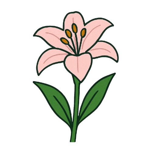Lily - Crochera