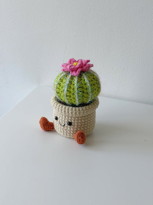 Crochet Blooming Cactus Pot – Smiling Desk Decor - Crochera