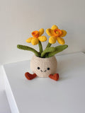 Crochet Daffodil Smiley Pot - Crochera