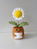 Crochet Daisy in Pot - Crochera
