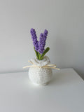 Crochet Lavender Potted Plant - Crochera