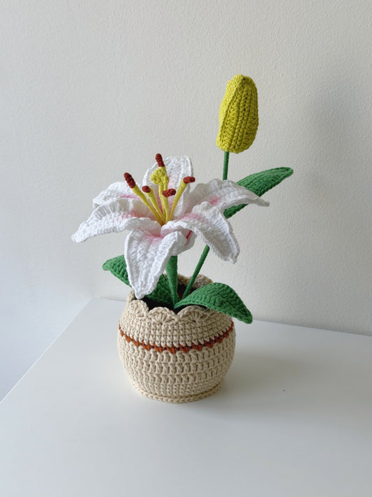 Crochet Lily Flower Potted Plant - Crochera
