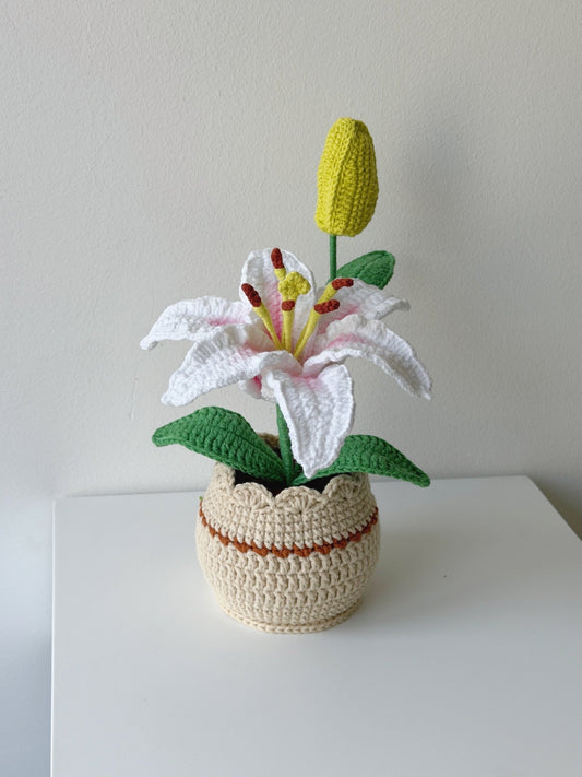 Crochet Lily Flower Potted Plant - Crochera