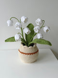 Crochet Lily of the Valley Potted Plant - Crochera
