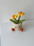 Crochet Mini Daffodil Potted Plant - Crochera
