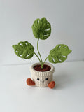 Crochet Monstera Potted Plant - Crochera