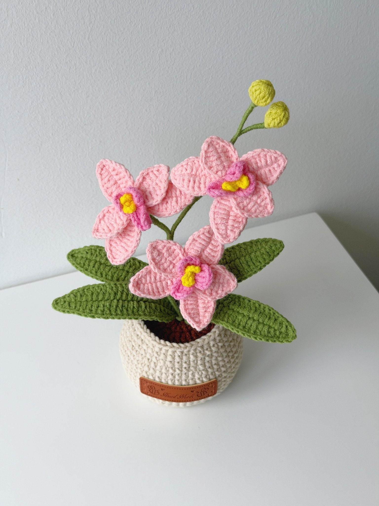 Crochet Phalaenopsis Orchid Potted Plant - Crochera