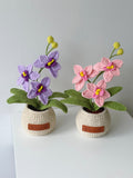 Crochet Phalaenopsis Orchid Potted Plant - Crochera
