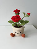 Crochet Smiling Red Rose Potted Plant - Crochera