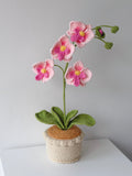 Crochet Tall Phalaenopsis Orchid Potted Plant - Crochera