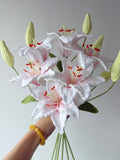 Pure Grace - Crochera