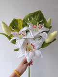 White Lily & Monstera - Crochera